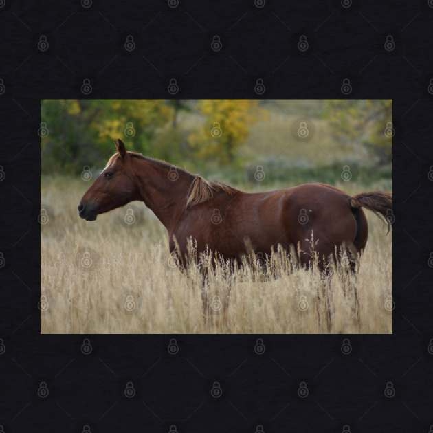 Brown Wild Horse by MarieDarcy